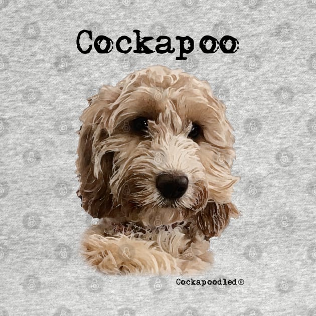 Golden Apricot Cockapoo / Spoodle and Doodle Dog by WoofnDoodle 